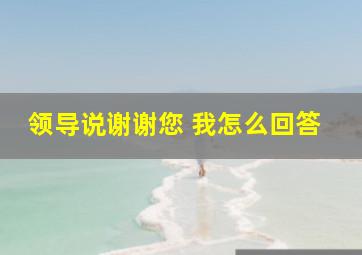 领导说谢谢您 我怎么回答